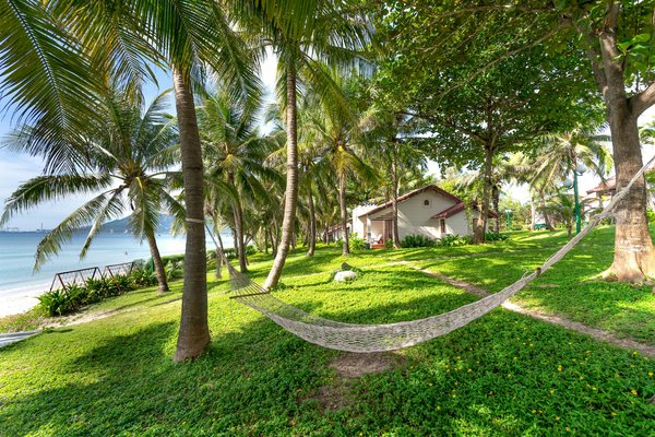 Comment planifier une visite des plantations de café en Colombie?